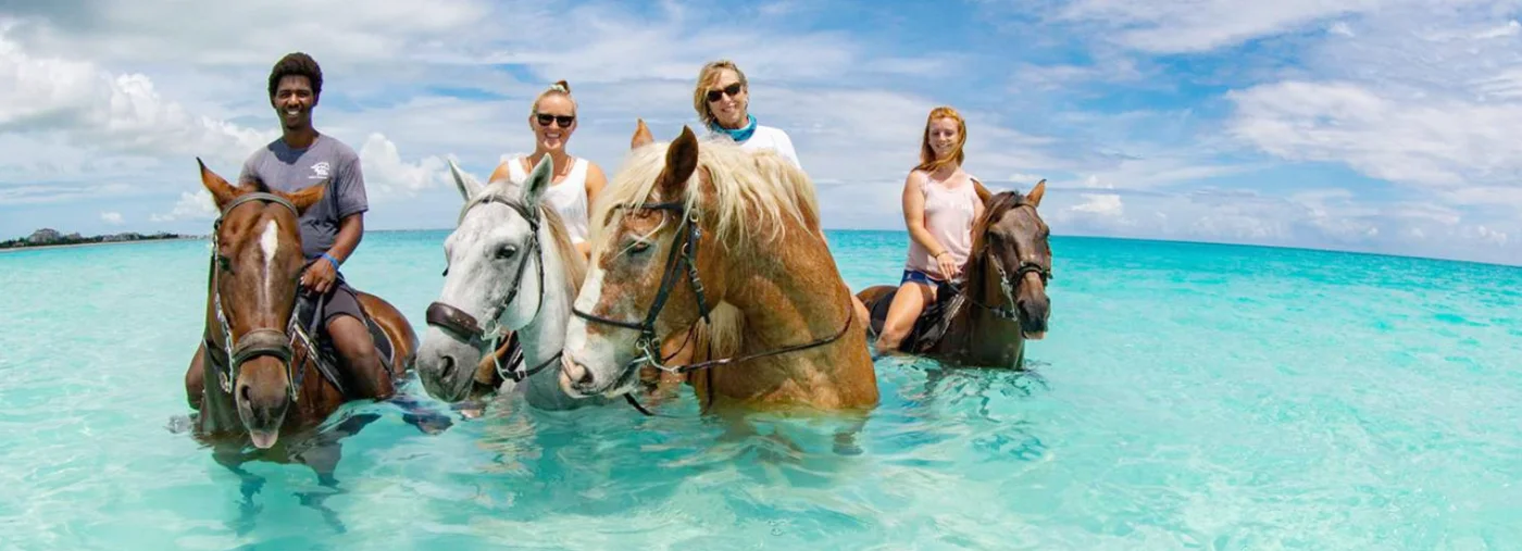 activities to do in Turks and Caicos