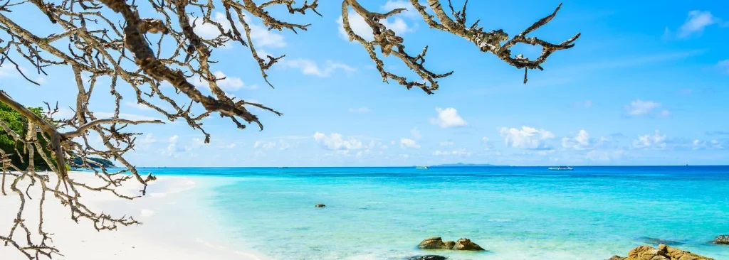 best beaches in turks and caicos