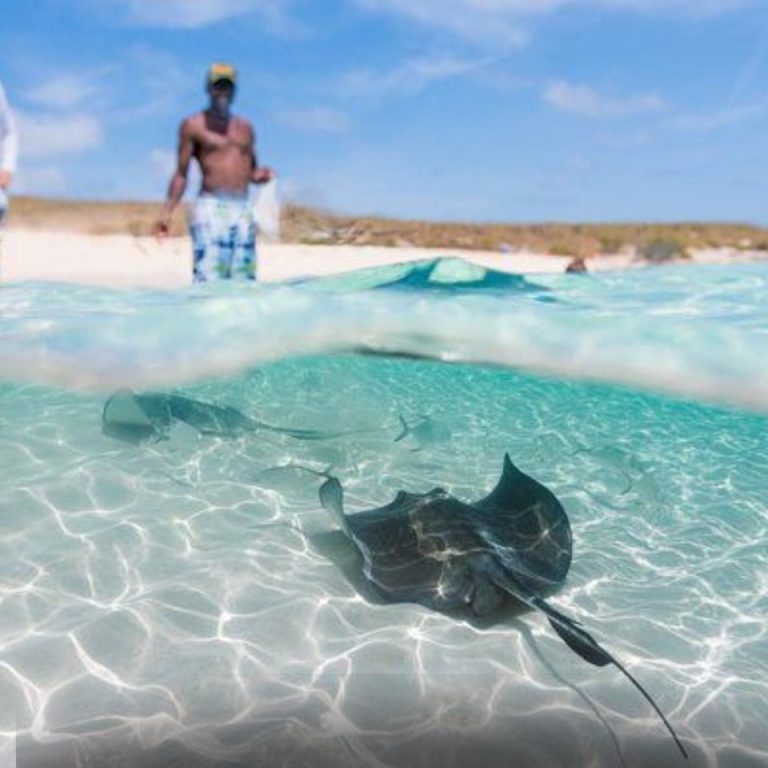 Island-Hopping Experience at Turks & Caicos Beach