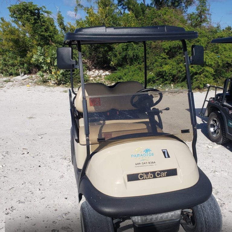 4 seater golf cart rental Paradise cart