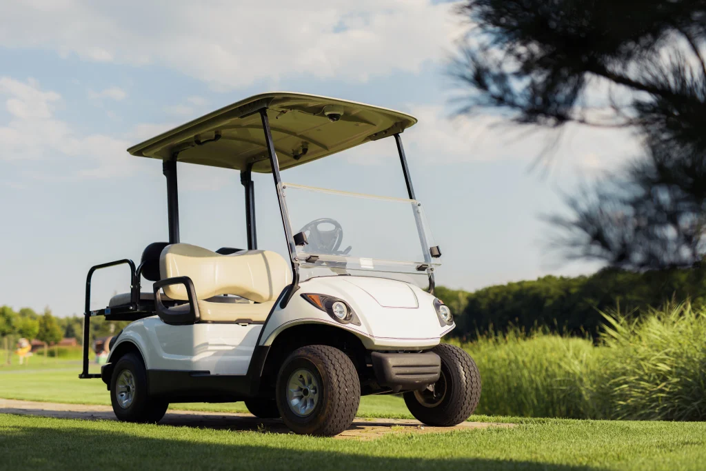 4 seater gas golf cart by Paradise Cart in Turks & Caicos