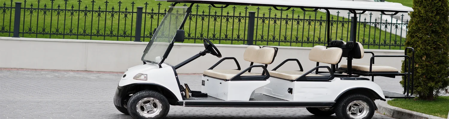 best 6 seater golf cart