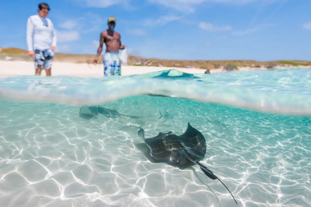 Gibbs Cay Turks and caicos -paradise cart
