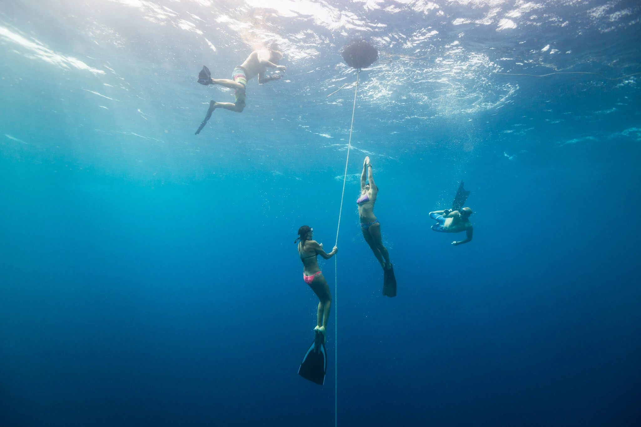 Free Diving Experiences