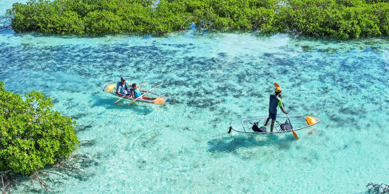 Clear Kayak Tours - TurksandCaicos-ParadiseCarts